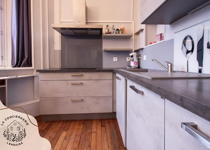 Ohana, Appartement De Charme, Au Centre De Lens